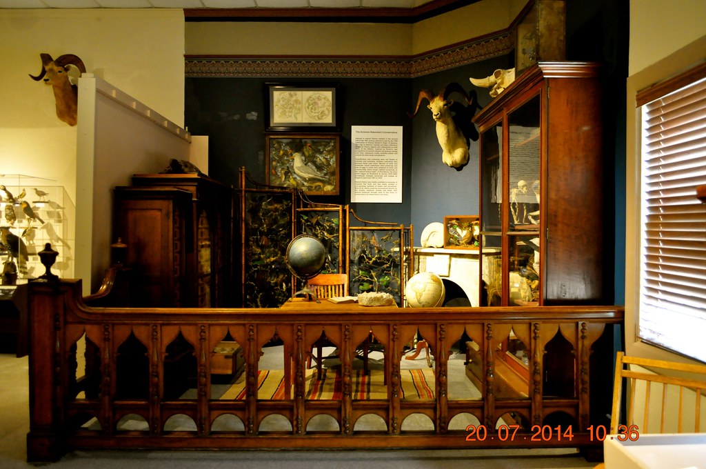 Museum of Natural History Providence