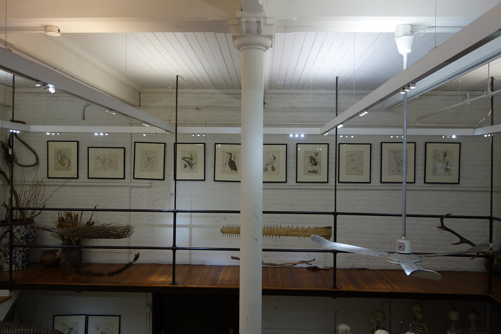 Edna Lawrence Nature Lab