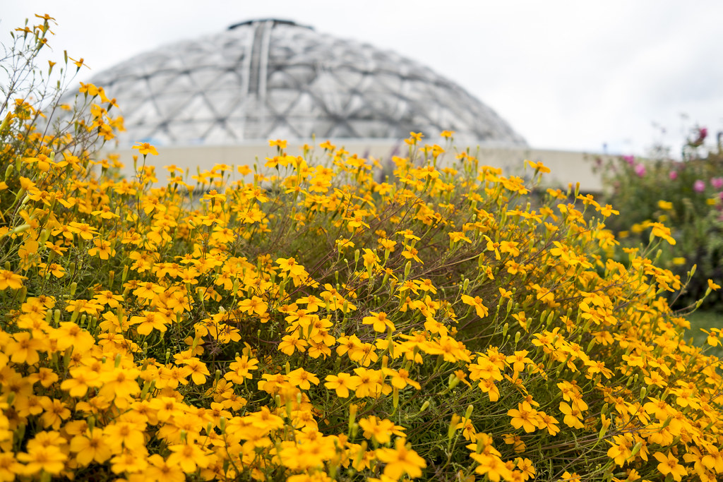 Greater Des Moines Botanical Garden