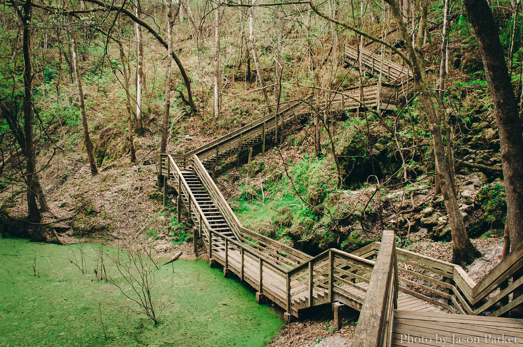 Devil's Millhopper Geological State Park