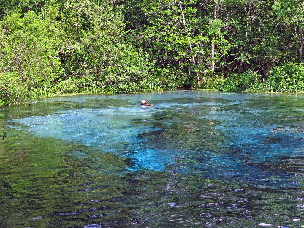 Ichetucknee Springs State Park