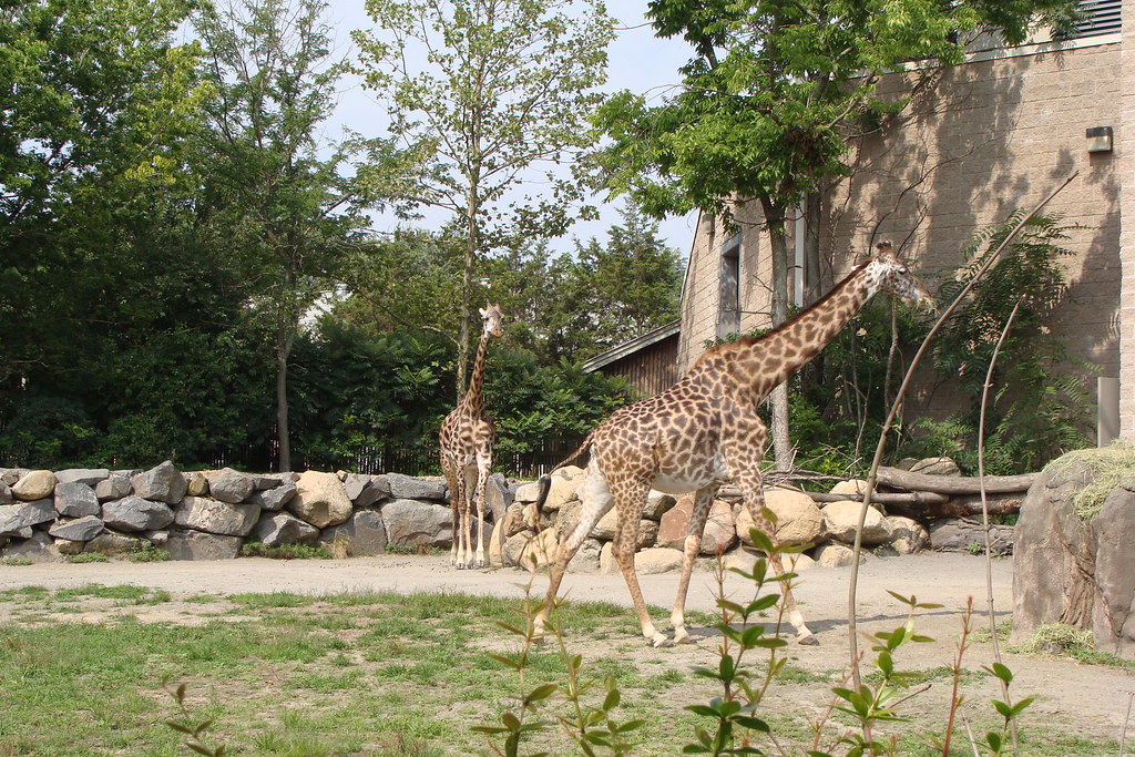 Roger Williams Park Zoo Providence