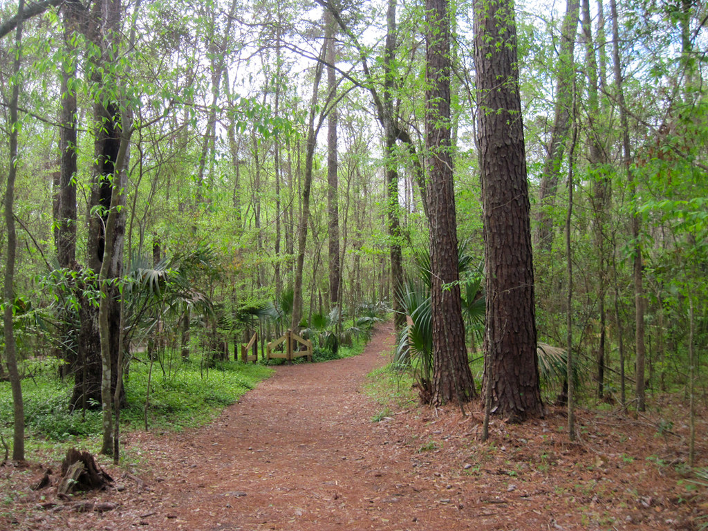 Loblolly Woods Nature Park