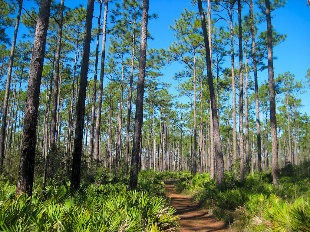 Morningside Nature Center