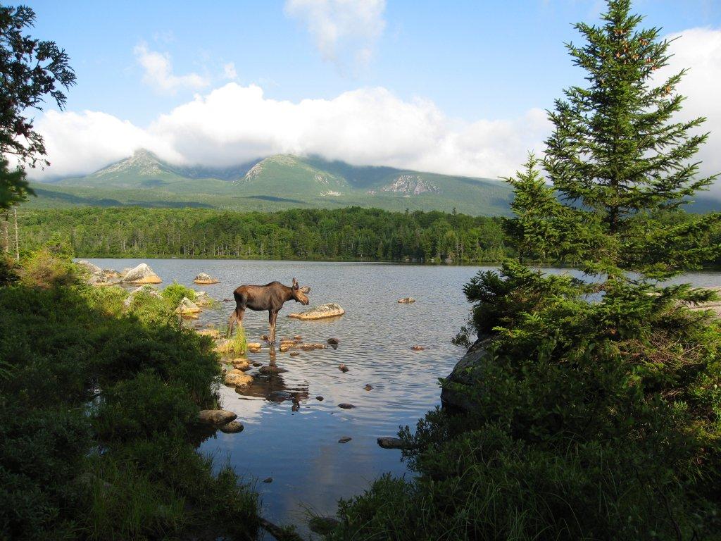 Baxter State Park 