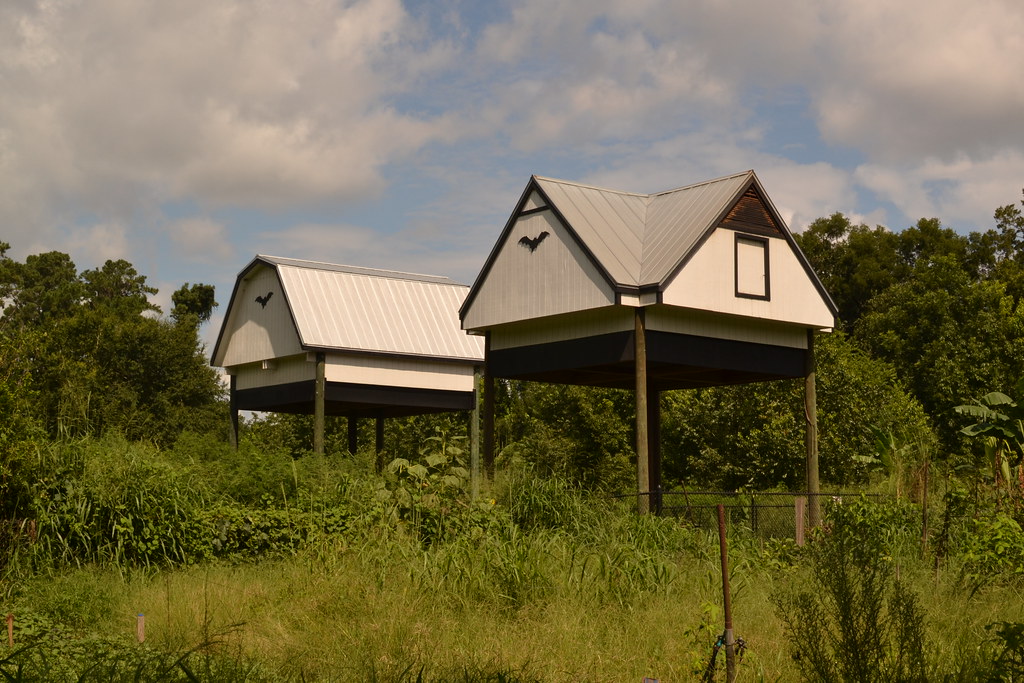 University of Florida Bat Houses