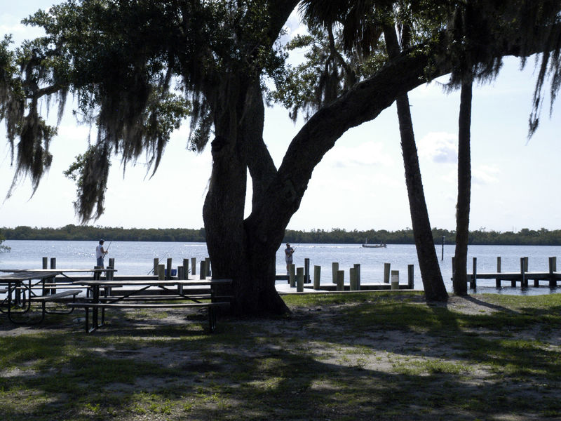 Harbour Heights Park