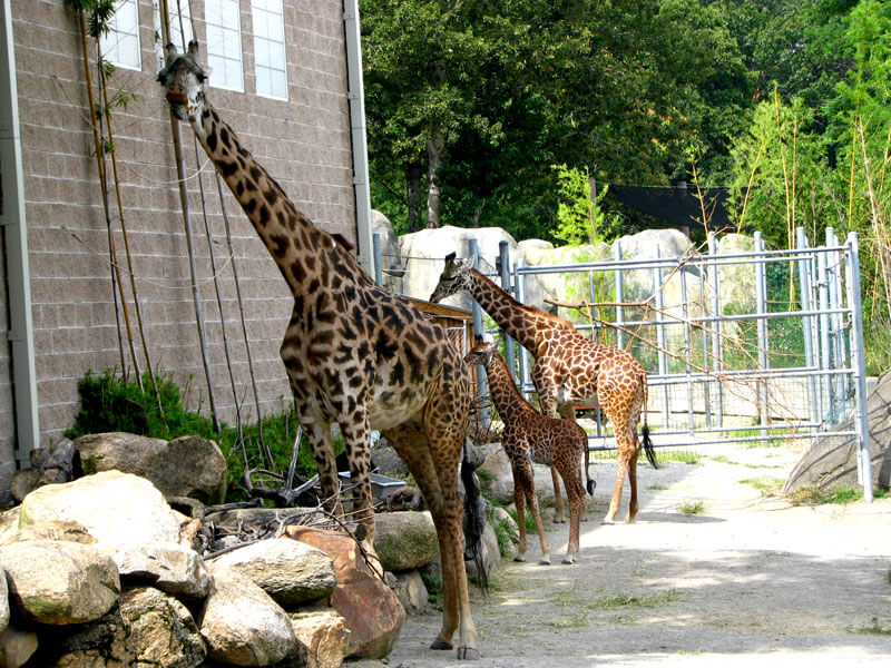 Roger Williams Park Zoo