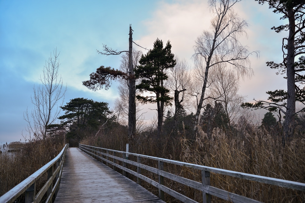 Weissenau Nature Reserve