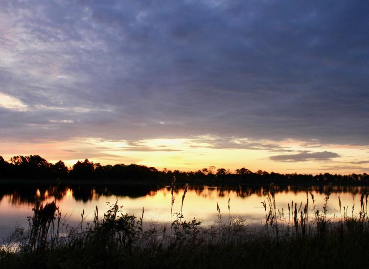 Babcock/Webb Wildlife Management Area