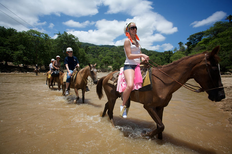 Sea Safari tour Vallarta Adventures