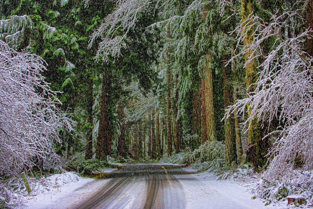Five Mile Drive and Trails