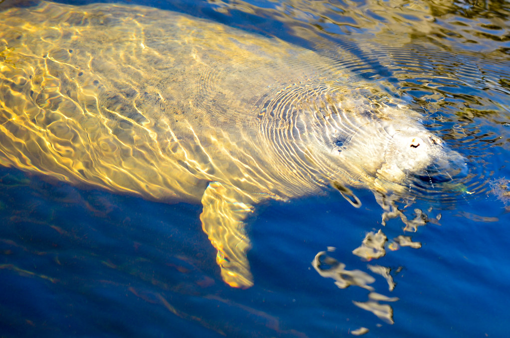 Wakulla Springs Park