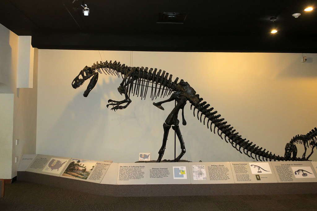 University of Nebraska State Museum
