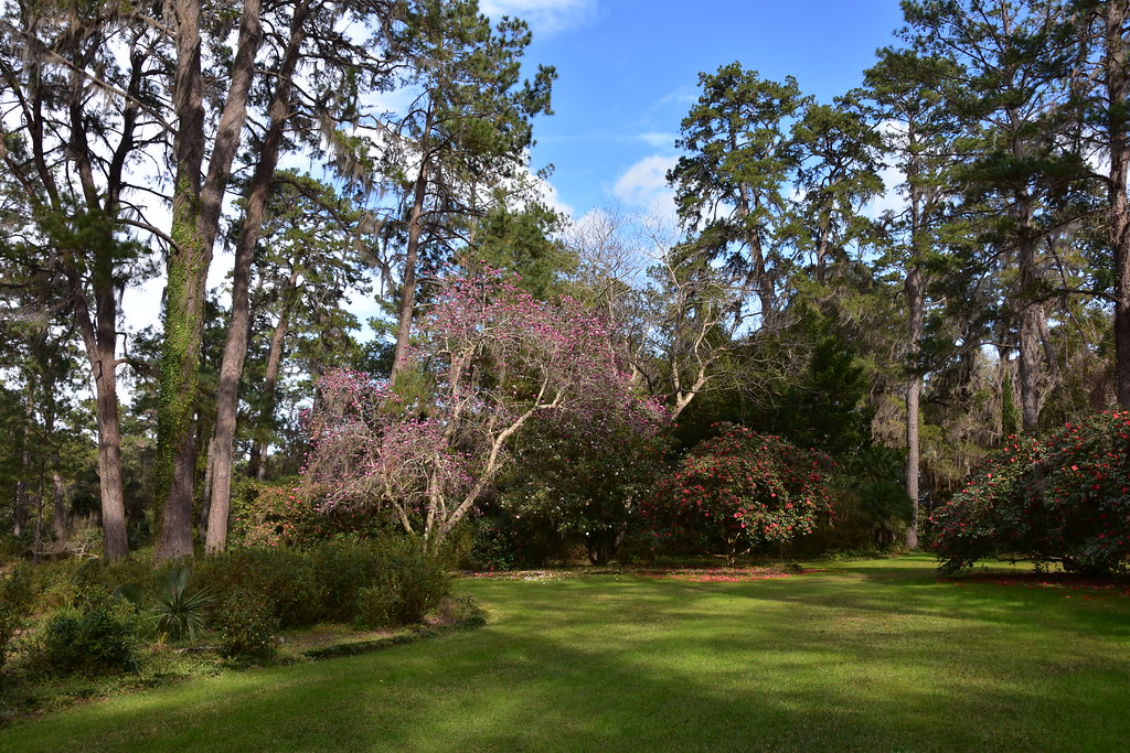 Alfred B. Maclay Gardens State Park