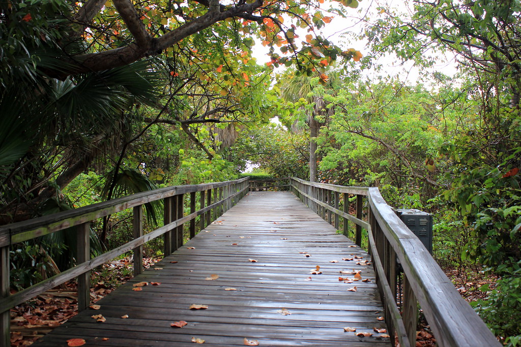 Red Reef Park