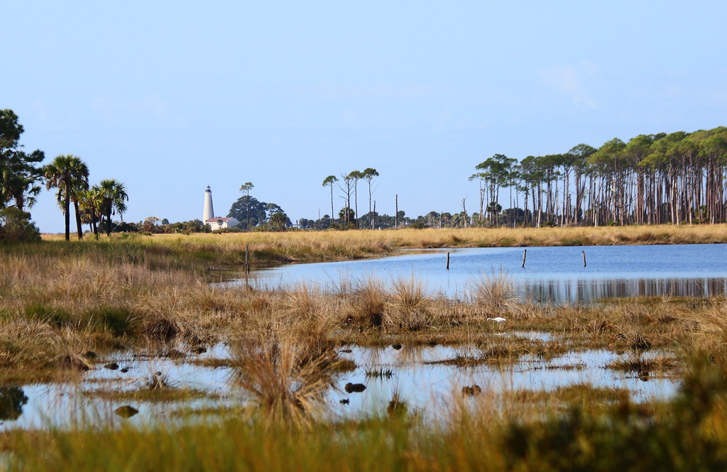 St. Marks National Wildlife Refuge