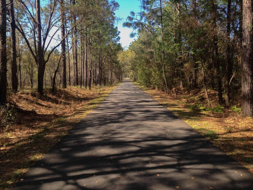 St Marks Historic Railroad State Trail