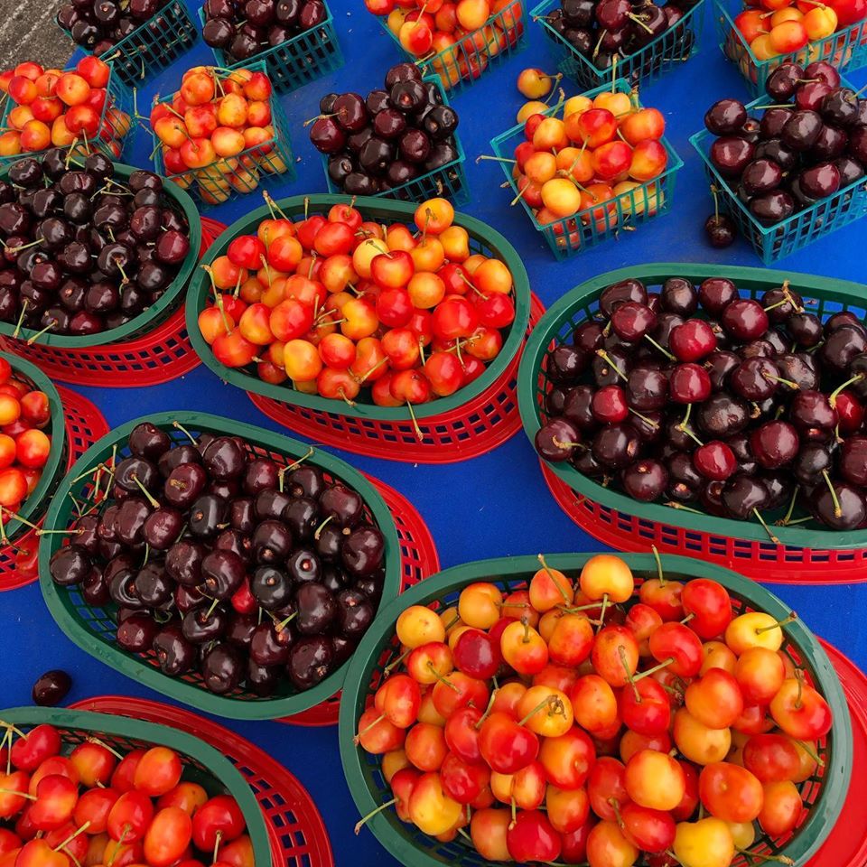 Daly City Farmer's Market