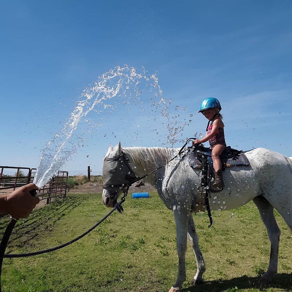 Party Ponies Yuma