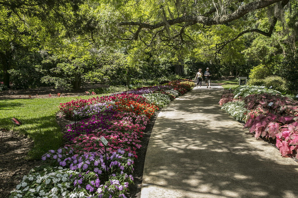 Harry P. Leu Gardens