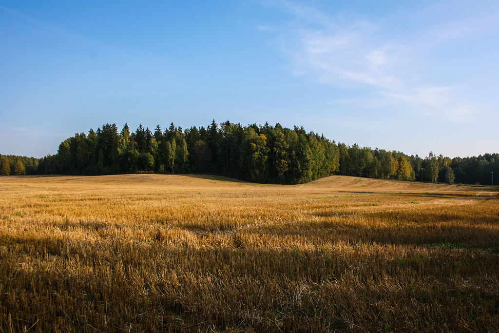 Central Park (Keskuspuisto)