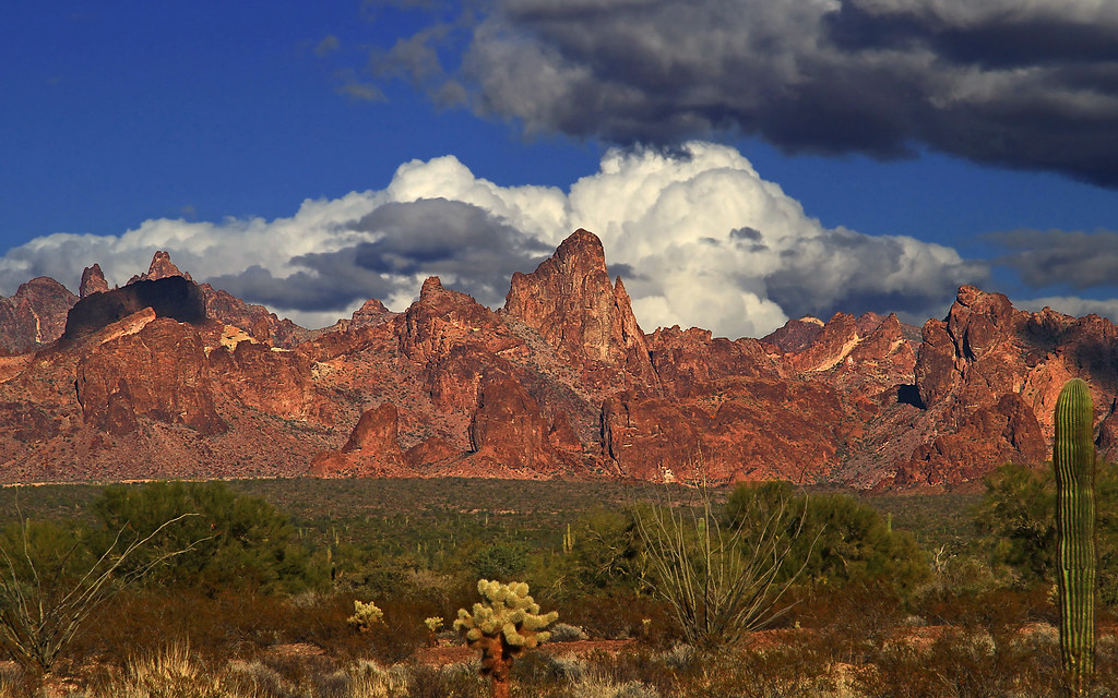 Kofa National Wildlife Refuge