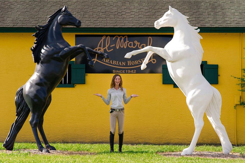 Al-Marah Arabian Horses