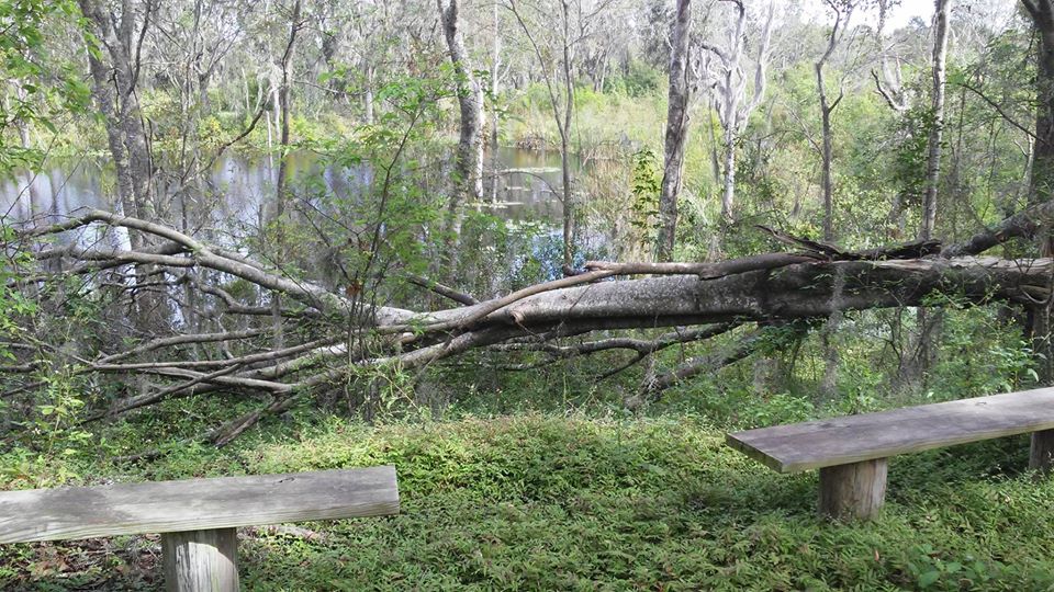 Tenoroc Fish Management Area