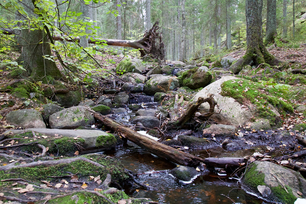 Nuuksio National Park