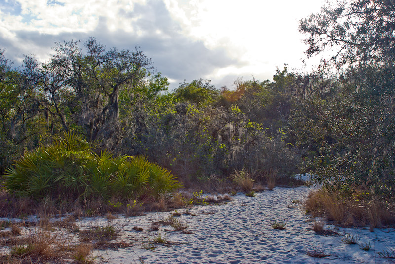 Crooked River Preserve