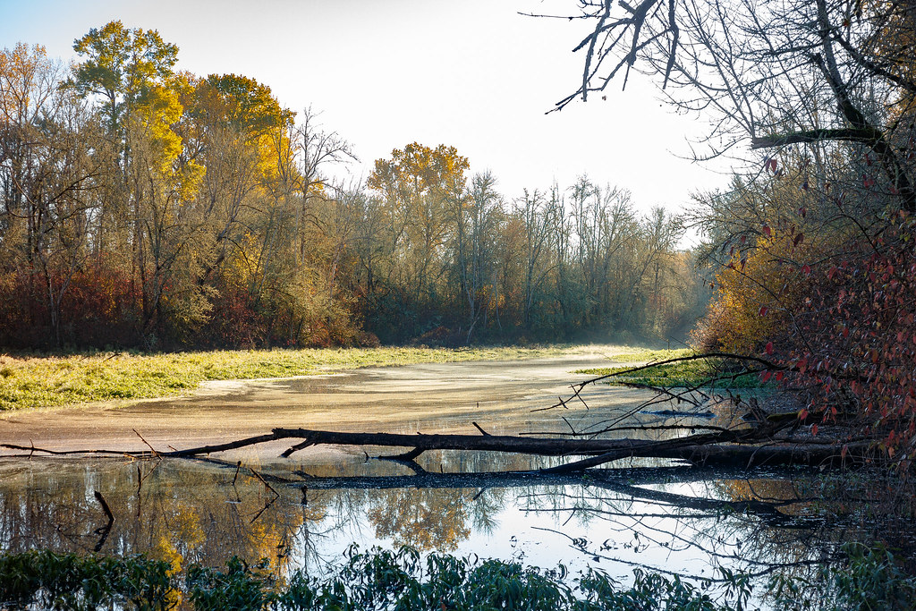 Minto-Brown Island Park