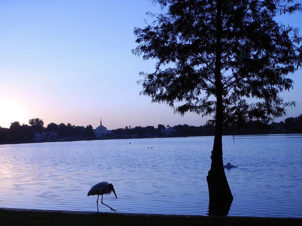 Lake Morton