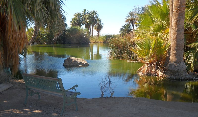 Yuma Conservation Garden