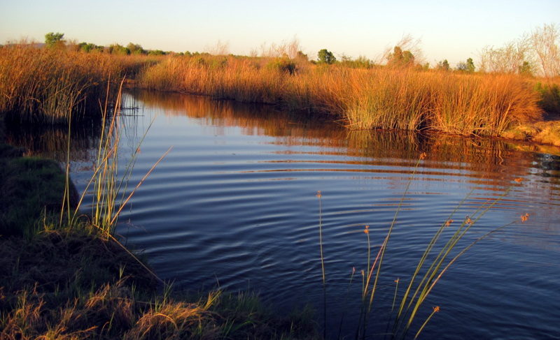 East Wetlands Environmental Restoration Area