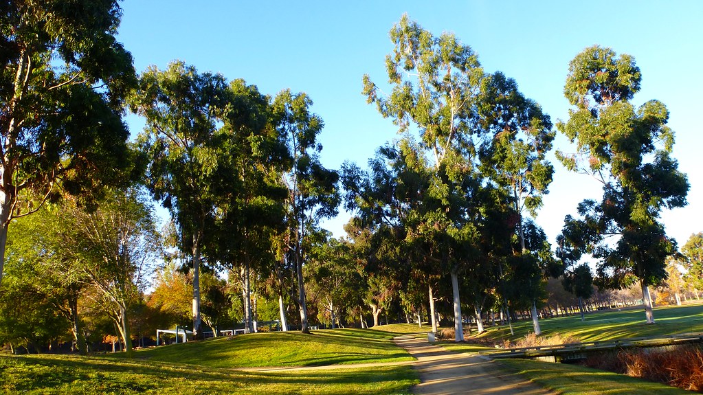 Baylands Park