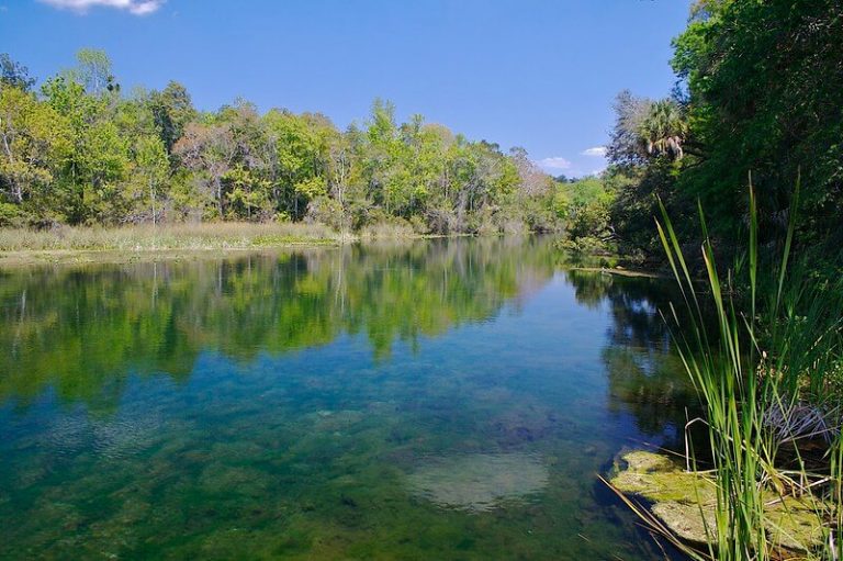 34 Best & Fun Things to Do in Ocala (FL) Attractions & Activities