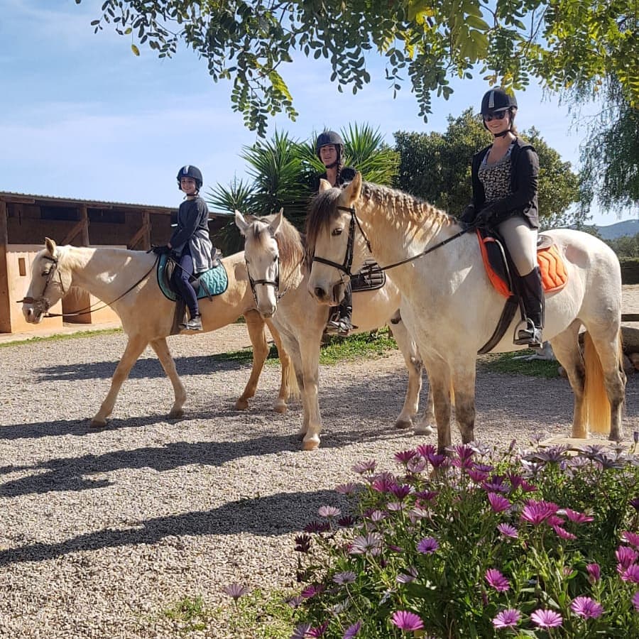 Horse Riding in Ibiza