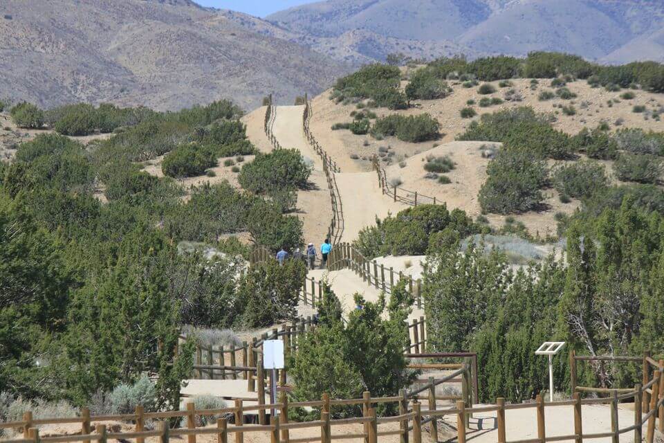 Barrel Springs Trail