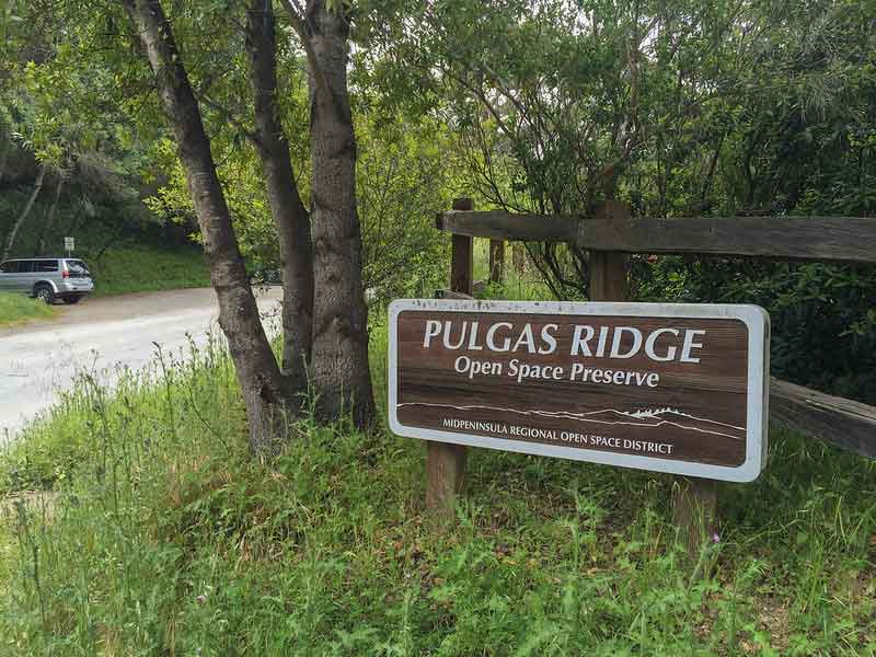 Pulgas Ridge Preserve