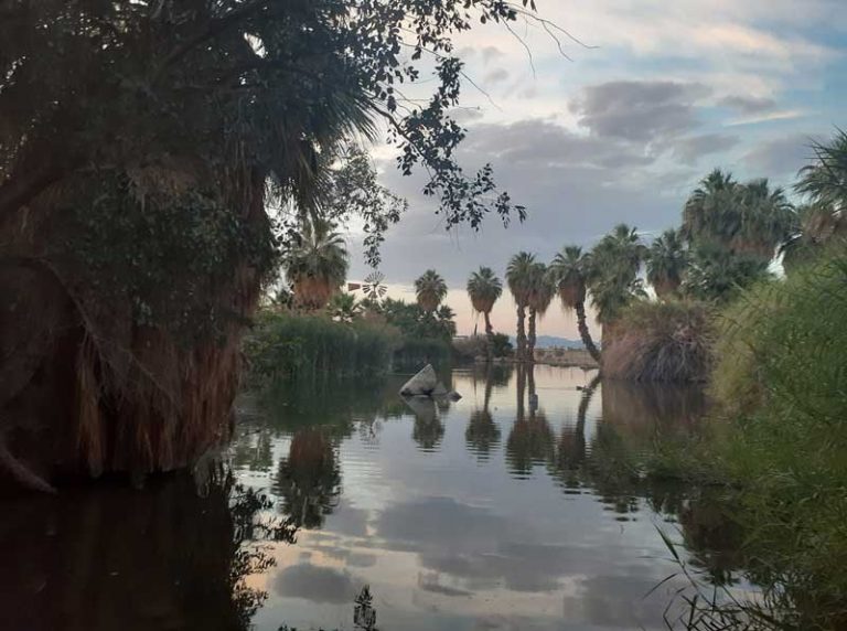 33 Best & Fun Things to Do in Yuma (AZ) The Tourist Checklist