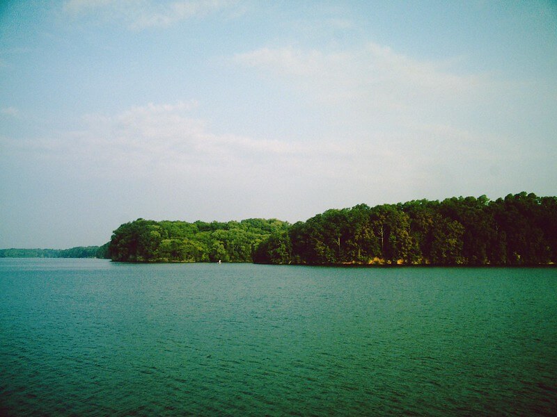 Wheeler Lake