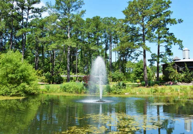 33-fun-things-to-do-in-fayetteville-nc-the-tourist-checklist
