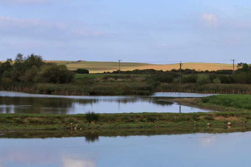 Filey Dams Nature Reserve