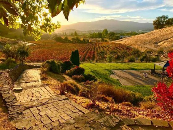 vezer winery vezer winery