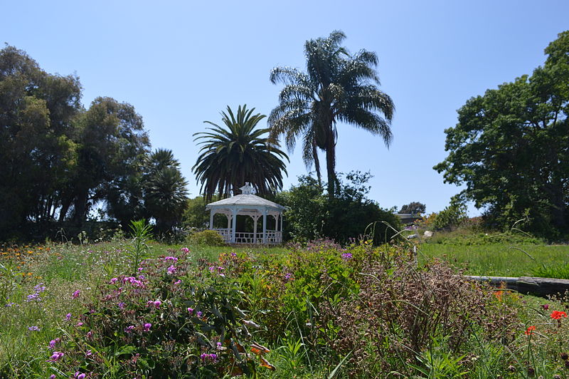 Botanical Gardens At UCI Arboretum
