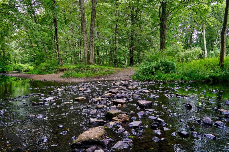 Eisenhower Park