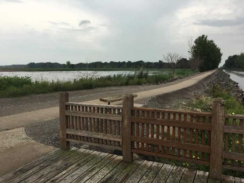 Quanicassee Wildlife Area 