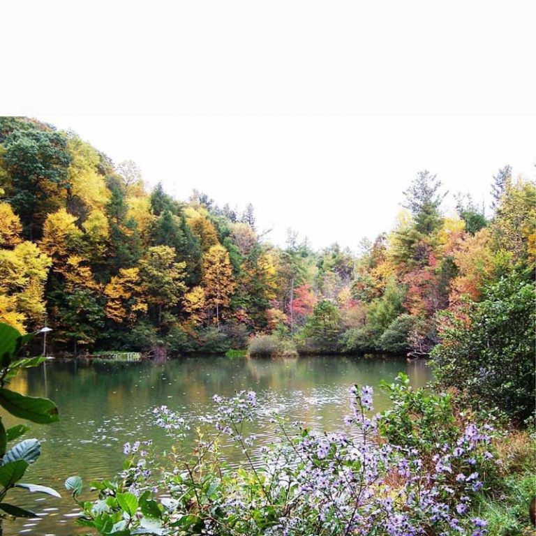 25 Top Fun Things to Do in Wytheville (VA) The Tourist Checklist