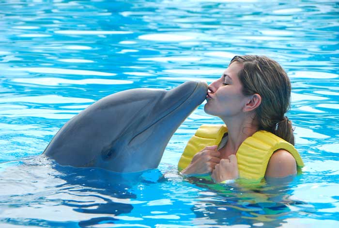 Dolphin Quest Oahu